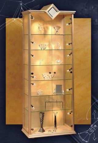 Luxus Sammler Vitrine Grand Regency